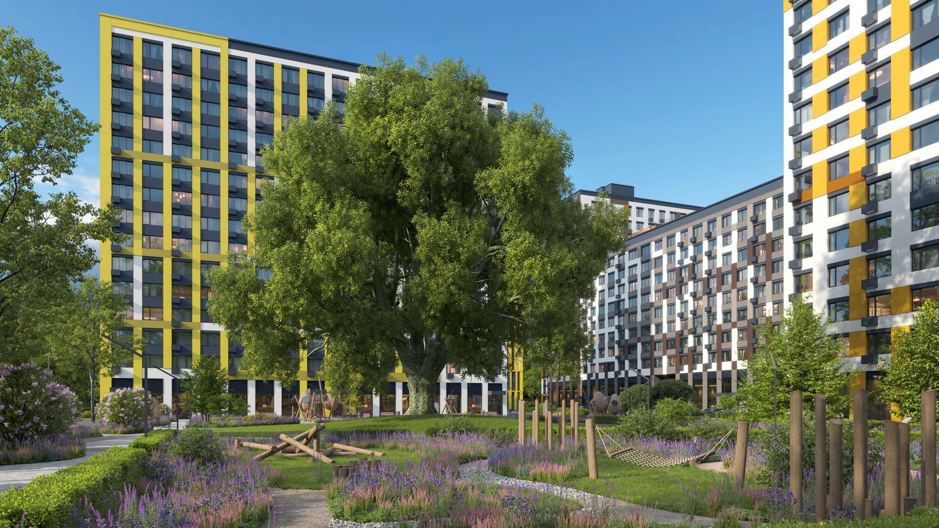 Описание изображения