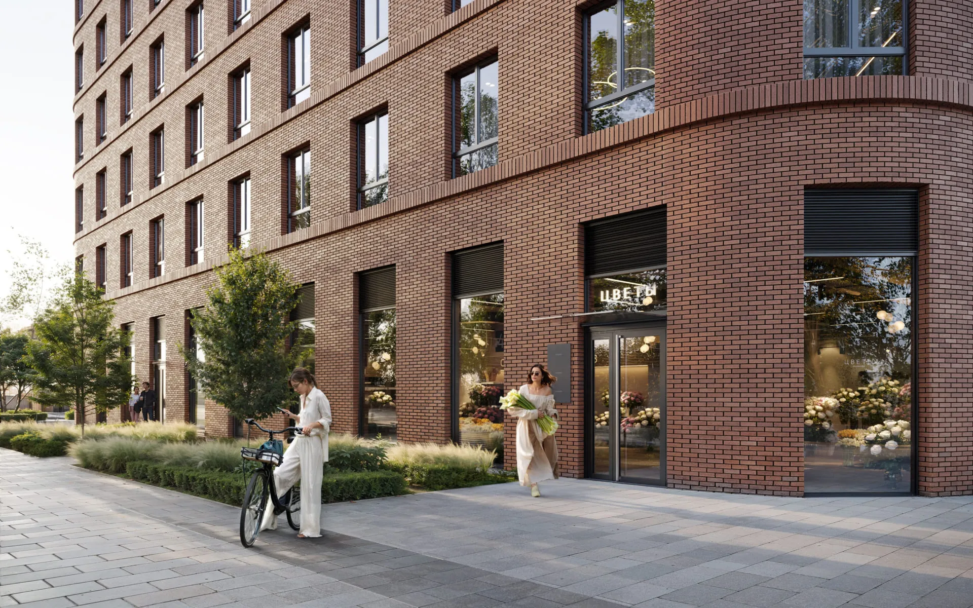 Описание изображения