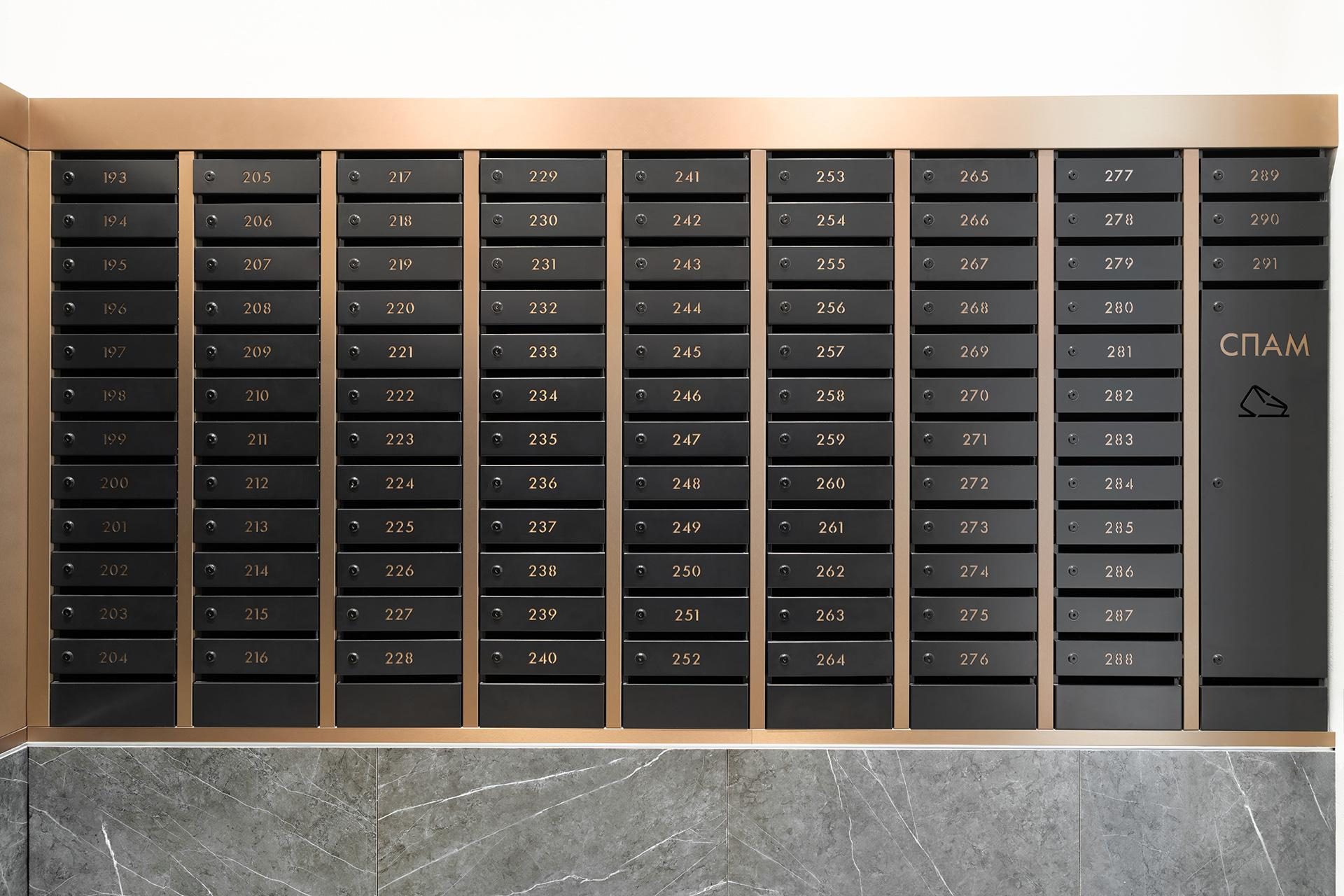 Описание изображения