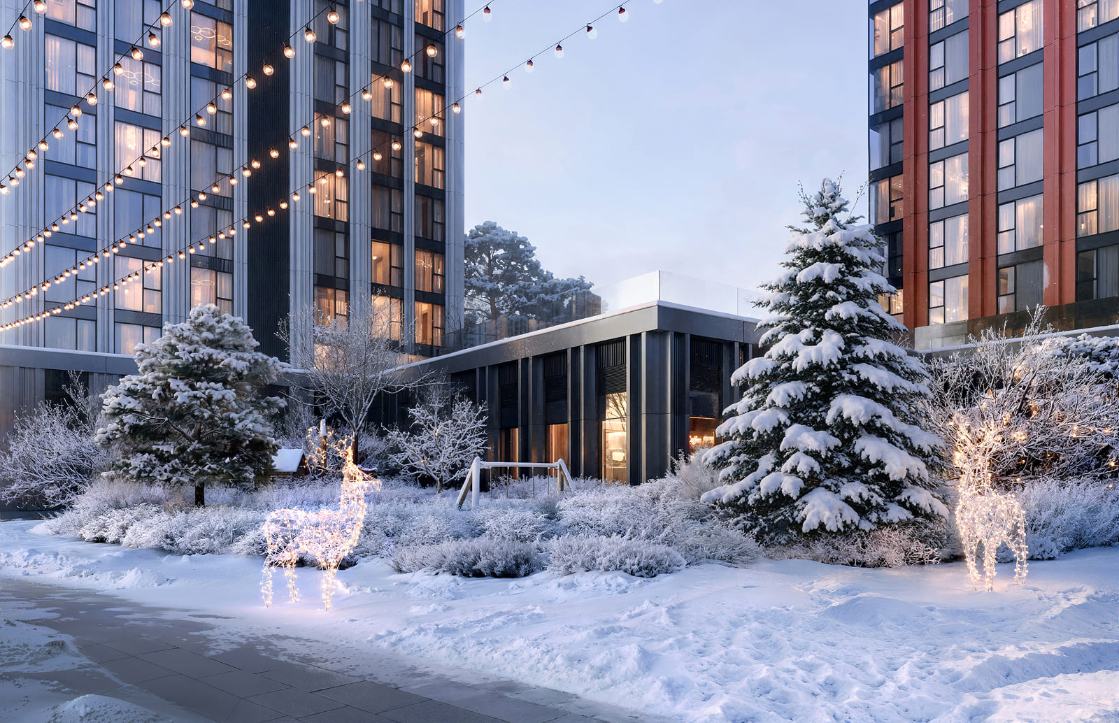 Описание изображения