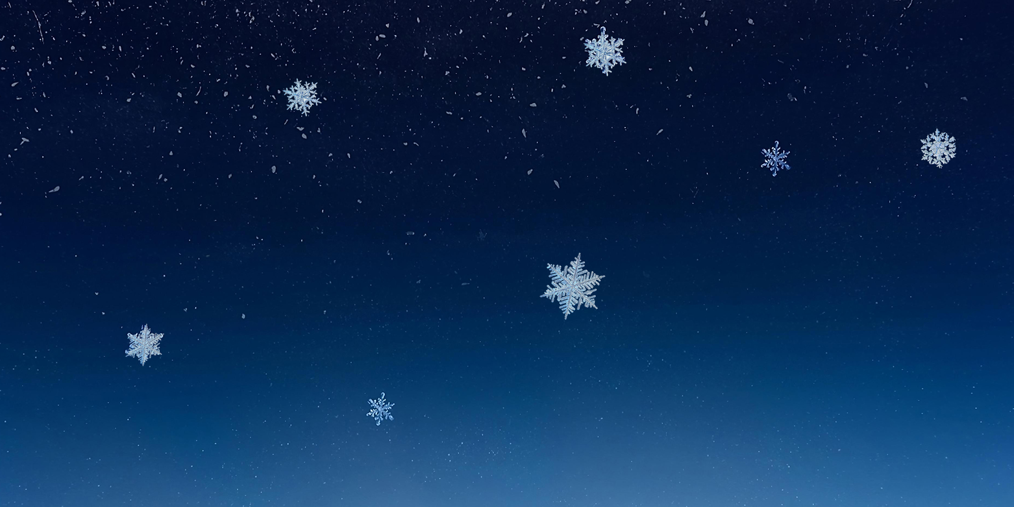 Описание изображения