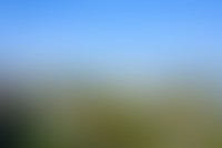 Описание изображения