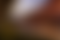 Описание изображения