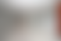 Описание изображения