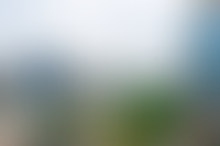 Описание изображения