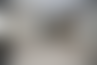 Описание изображения