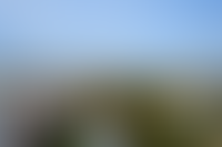 Описание изображения