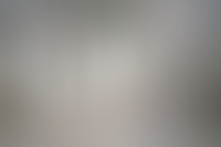 Описание изображения