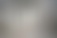 Описание изображения