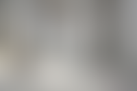 Описание изображения