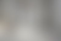 Описание изображения