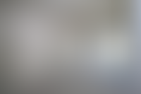 Описание изображения