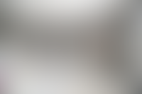 Описание изображения