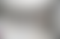 Описание изображения