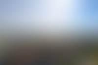 Описание изображения