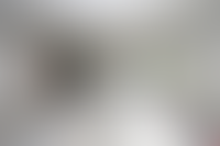 Описание изображения