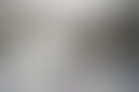 Описание изображения