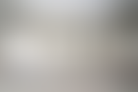 Описание изображения