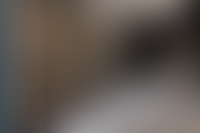 Описание изображения