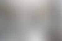 Описание изображения