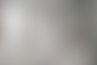 Описание изображения