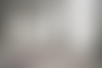 Описание изображения