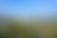 Описание изображения