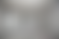 Описание изображения