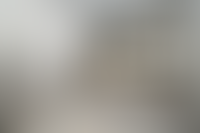 Описание изображения