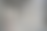 Описание изображения