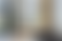 Описание изображения