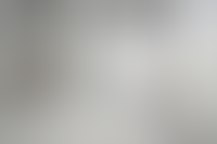 Описание изображения