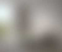 Описание изображения