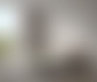 Описание изображения