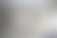 Описание изображения