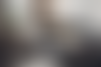 Описание изображения