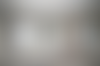 Описание изображения