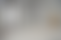 Описание изображения