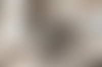 Описание изображения