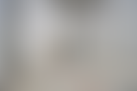 Описание изображения