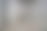 Описание изображения