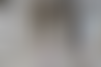 Описание изображения