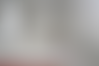 Описание изображения