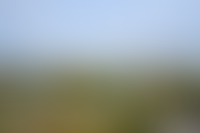 Описание изображения