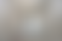 Описание изображения