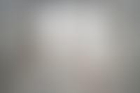 Описание изображения