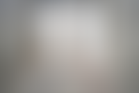 Описание изображения