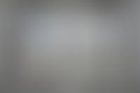 Описание изображения