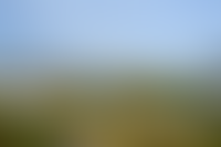 Описание изображения