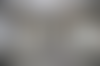 Описание изображения